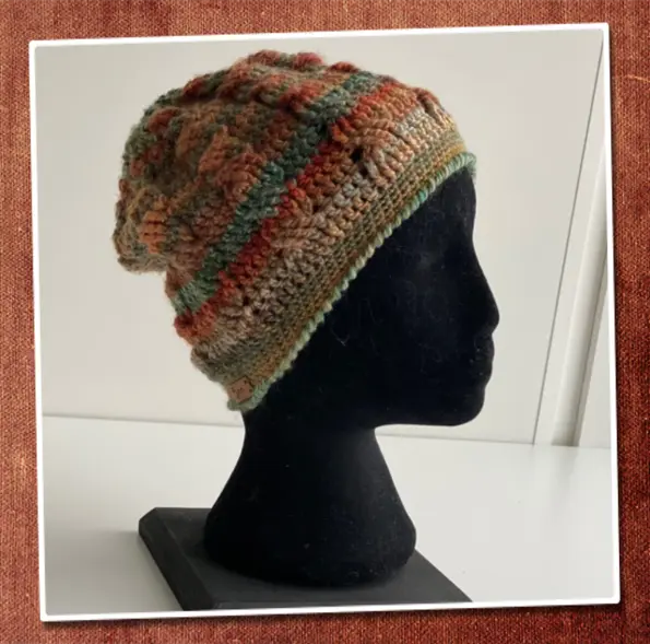 Braids Indian Summer